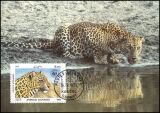 1985  Weltweiter Naturschutz WWF - Leopard (032)