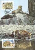 1985  Weltweiter Naturschutz WWF - Leopard (032)