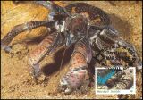 1986  Weltweiter Naturschutz WWF - Wirbellose des...
