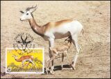 1986  Weltweiter Naturschutz WWF - Damagazelle (036)
