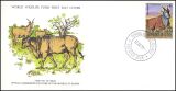1977  Elenantilope