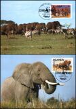1983  Weltweiter Naturschutz WWF - Afrikanischer Elefant (004)