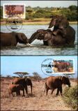 1983  Weltweiter Naturschutz WWF - Afrikanischer Elefant (004)