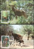 1984  Weltweiter Naturschutz WWF - Okapi (018)