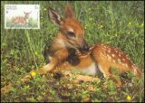 1992  Weltweiter Naturschutz WWF - Weisswedelhirsch (123)
