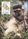 1986  Grüne Meerkatze