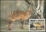 1985  Zebraducker