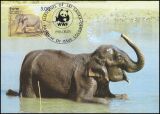 1986  Asiatischer Elefant