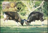 1986  Bantengs-Wildrind