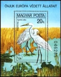 1980  Europäische Naturschutzkampagne:  Silberreiher