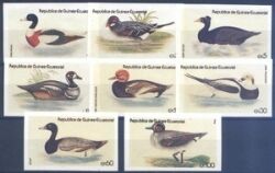 1979  Wasservögel