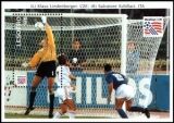Lesotho 1994  Fußball-Weltmeisterschaft in der USA