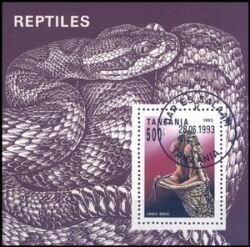 Tansania 1993  Reptilien