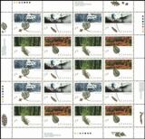 Canada 1990  Die Wälder Kanadas