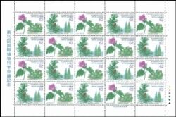 1993  Internationaler Botanikkongreß in Tokio