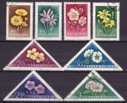 1958  Blumen