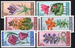 1966  Geschützte Blumen