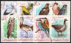 1968  Kongreß des Rates für Vogelschutz