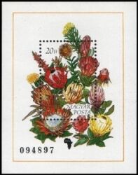 1990  Silberbaumgewächse