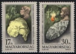 1993  Funde aus prähistorischen Siedlungen
