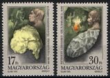 1993  Funde aus prähistorischen Siedlungen