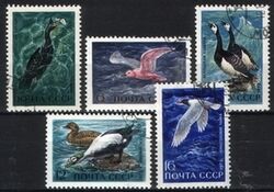 1972  Meeresvögel
