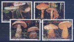 Guyana 1989  Pilze