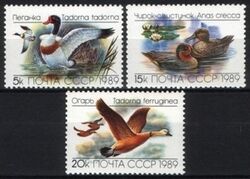 1989  Enten und Gnse