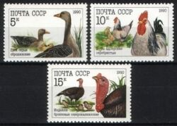 1990  Geflügelzucht