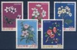 1975  Blüten