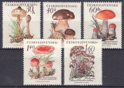 1958  Pilze