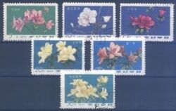 1975  Blüten