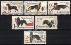 1965  Hunde Weltausstellung in Brünn