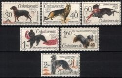 1965  Hunde Weltausstellung in Brnn