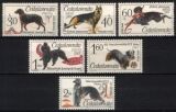 1965  Hunde Weltausstellung in Brünn