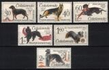 1965  Hunde Weltausstellung in Brnn