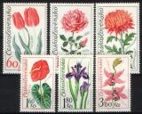 1973  Blumenausstellung in Olmütz
