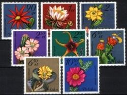 1981  Sukkulentenblüten