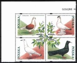 1994  Zuchttauben