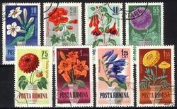 1964  Gartenblumen