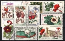 1965  Gründung der botanischen Gärten