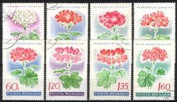 1968  Pelargonien