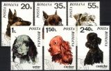 1971  Hunde