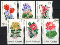 1980  Exotische Blumen aus Botanischen Grten