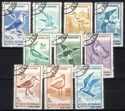 1991  Vögel