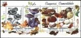 1994  Eßbare und giftige Pilze