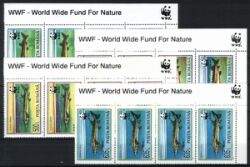 1994  Weltweiter Naturschutz WWF: Störe