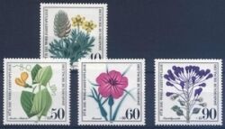1980  Ackerwildkräuter