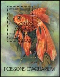 Madagaskar 1994  Aquariumfische