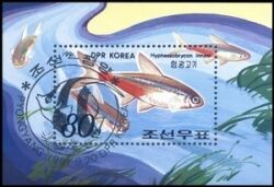 Korea-Nord 1991  Zierfische